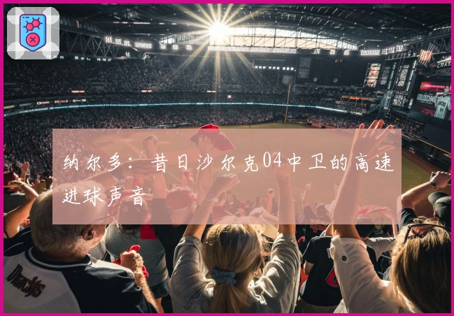 纳尔多：昔日沙尔克04中卫的高速进球声音