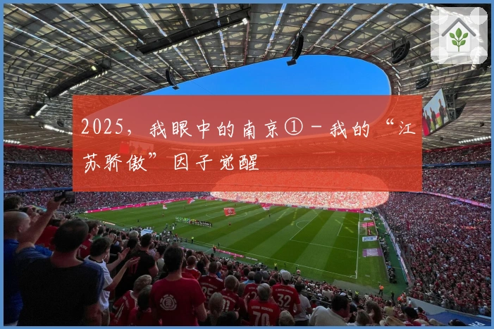 2025，我眼中的南京① - 我的“江苏骄傲”因子觉醒
