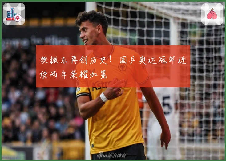 樊振东再创历史！国乒奥运冠军连续两年荣耀加冕