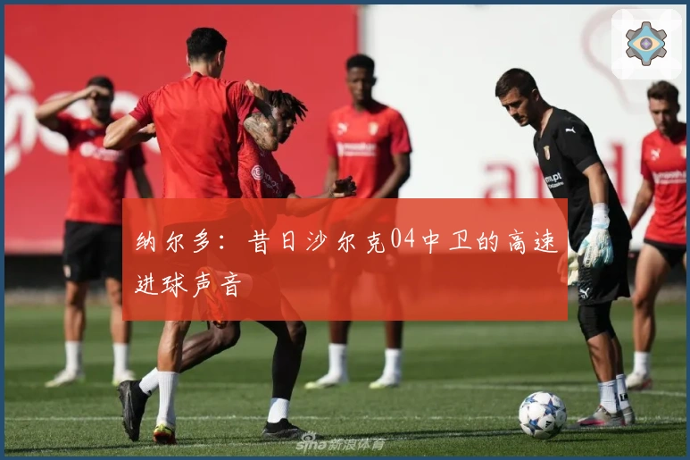 纳尔多：昔日沙尔克04中卫的高速进球声音